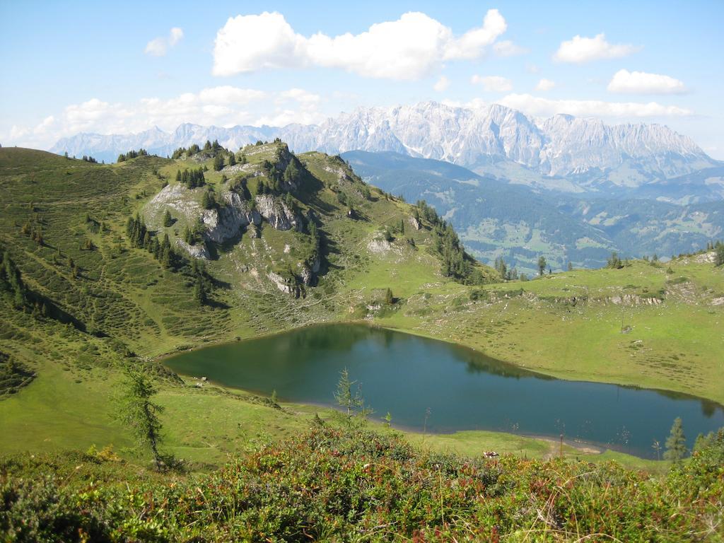 Bergparadies - Inklusive Eintritt In Die Alpentherme Dorfgastein Exteriér fotografie
